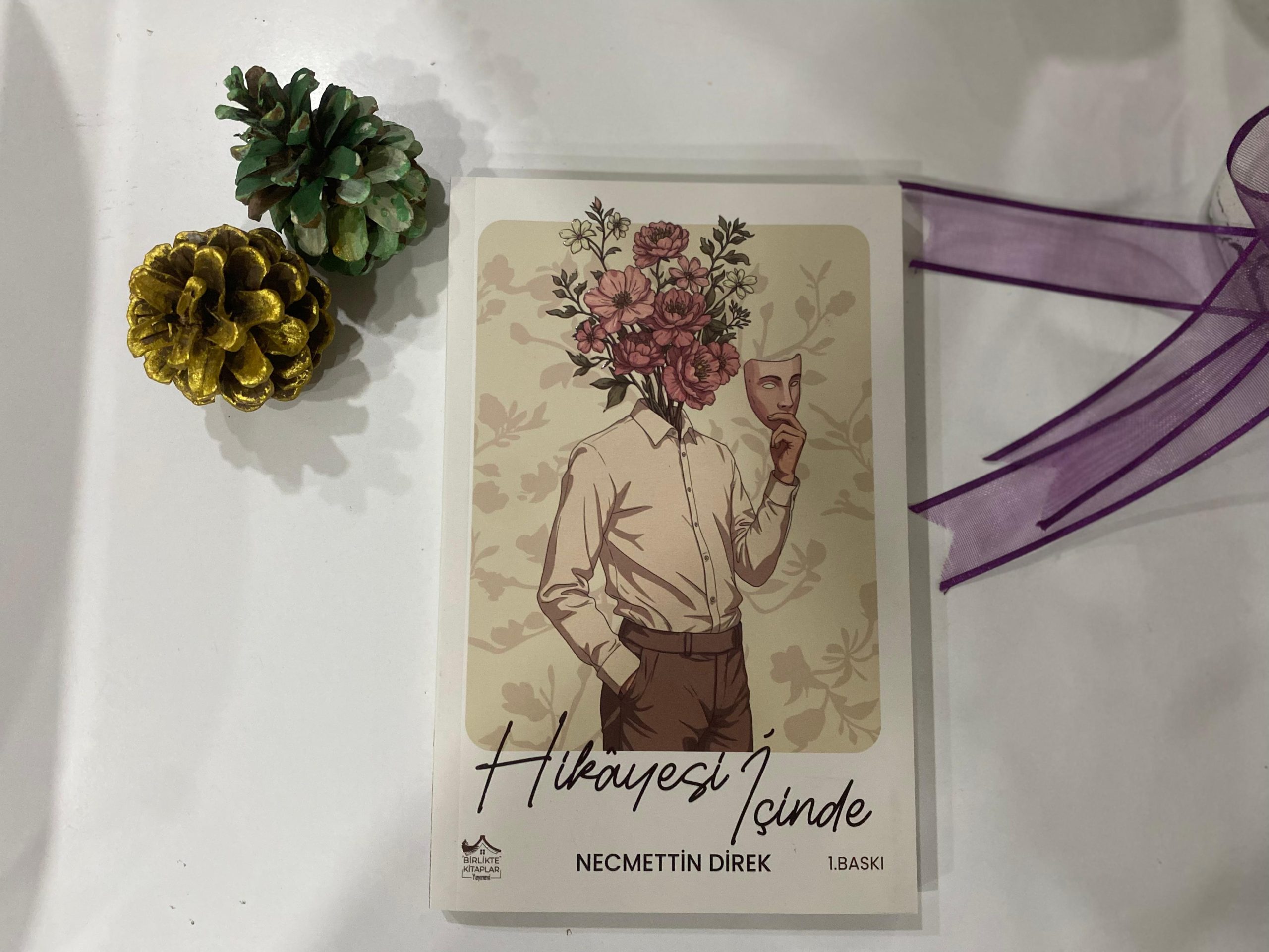 Hikậyesi İçinde - NECMETTİN DİREK - Görsel 2