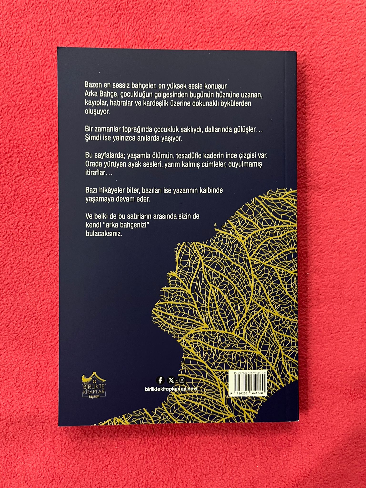 ARKA BAHÇE - AYŞEGÜL POYRAZOĞLU - Görsel 3