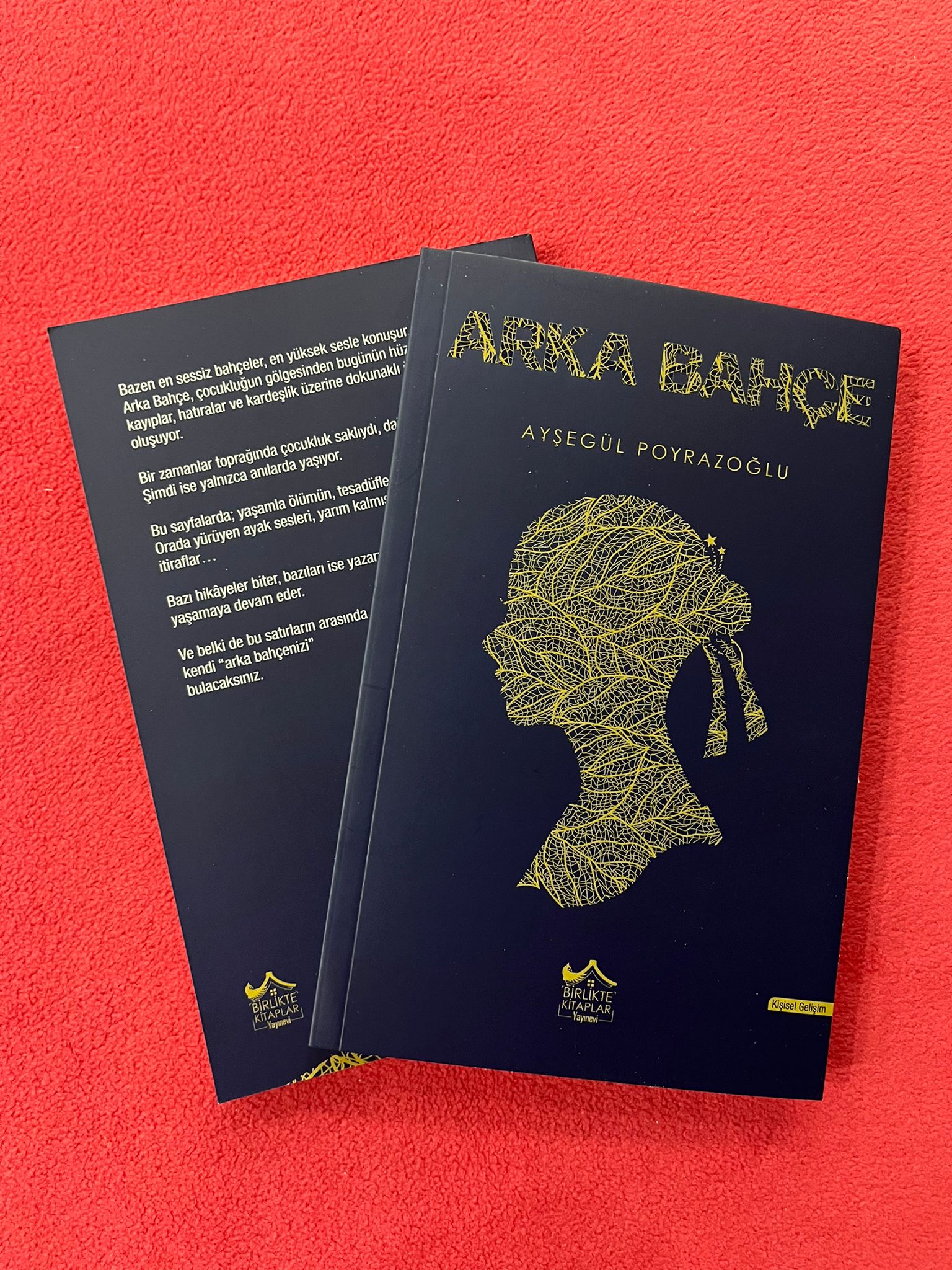 ARKA BAHÇE - AYŞEGÜL POYRAZOĞLU - Görsel 2